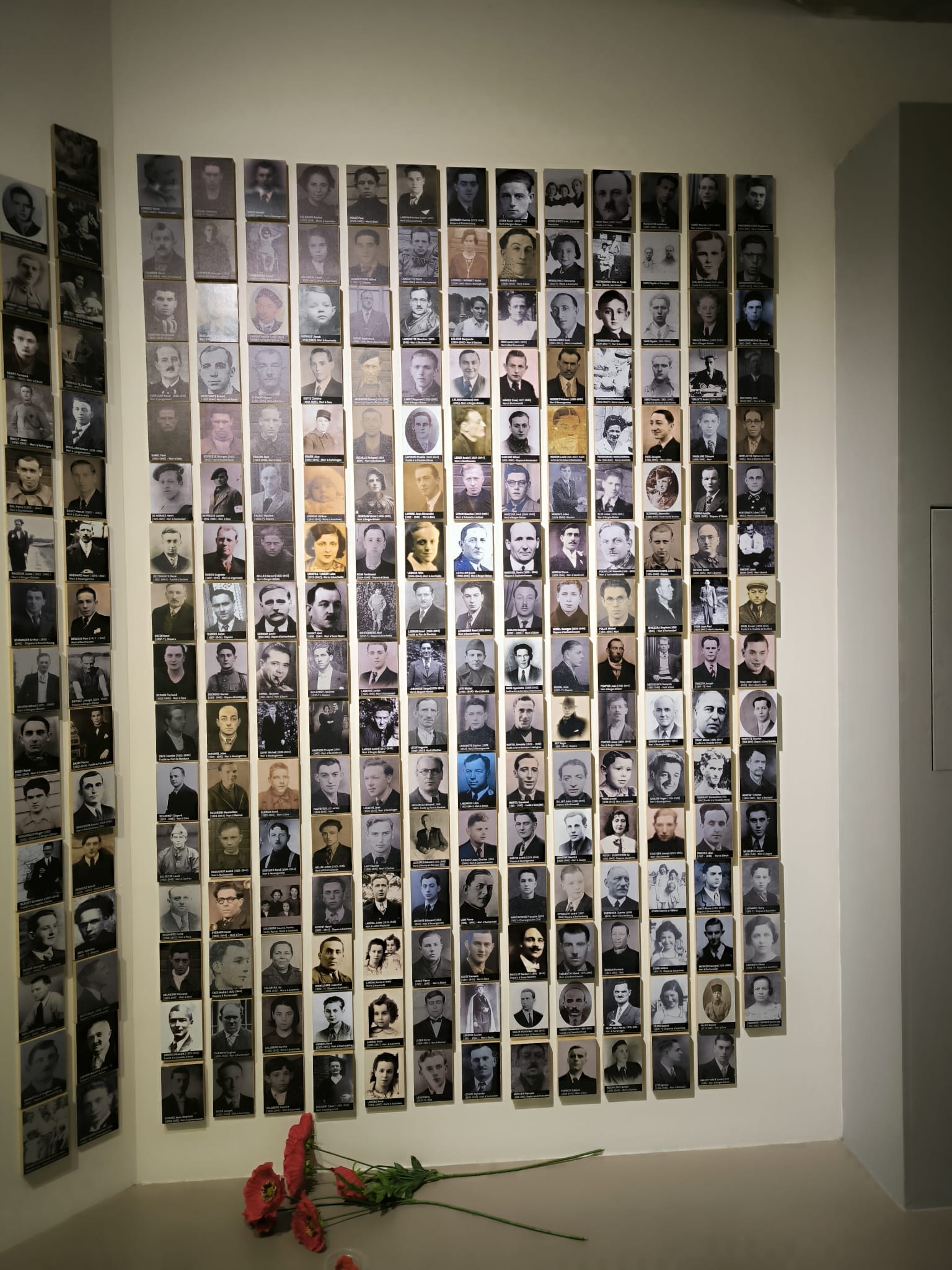 WhatsApp%20Image%202025-11-07%20at%2021.10.29%20%282%29